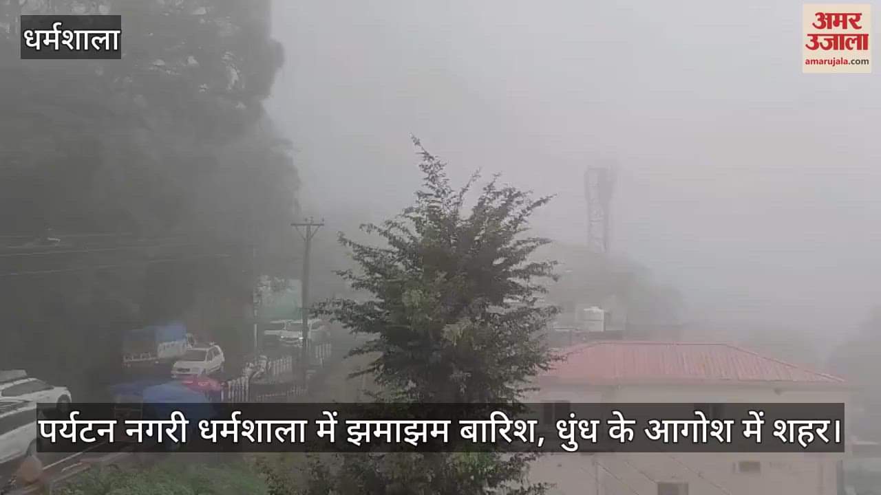 rain in tourist city Dharamsala, city engulfed in fog