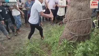 People tied drug addict to tree and beat him