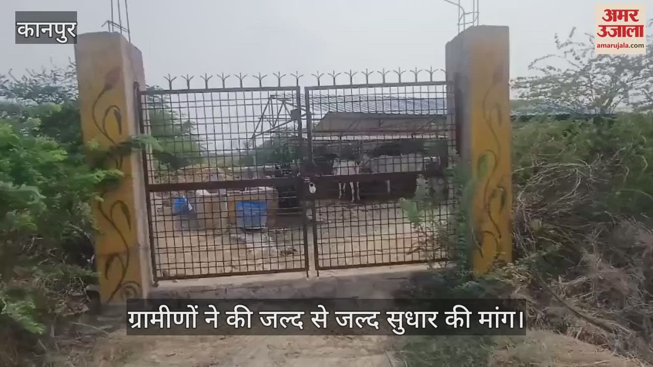 कानपुर के शिवराजपुर की गोशाला अव्यवस्थाओं से बदहाल, कई बेजुबान जानवरों की हो चुकी है मौत
