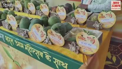 Strange names of mangoes in Mango Festival some like Yogi and some like Jahangir