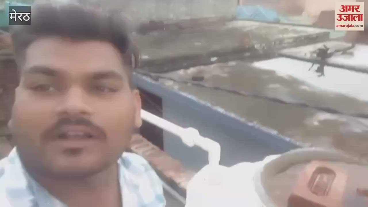 Meerut: Monkey terror in Ajhauta, four including two women bitten