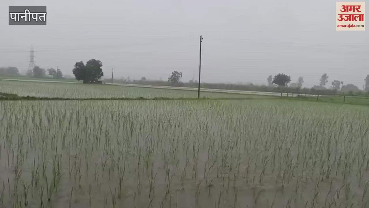 Heavy rain in Panipat since early morning