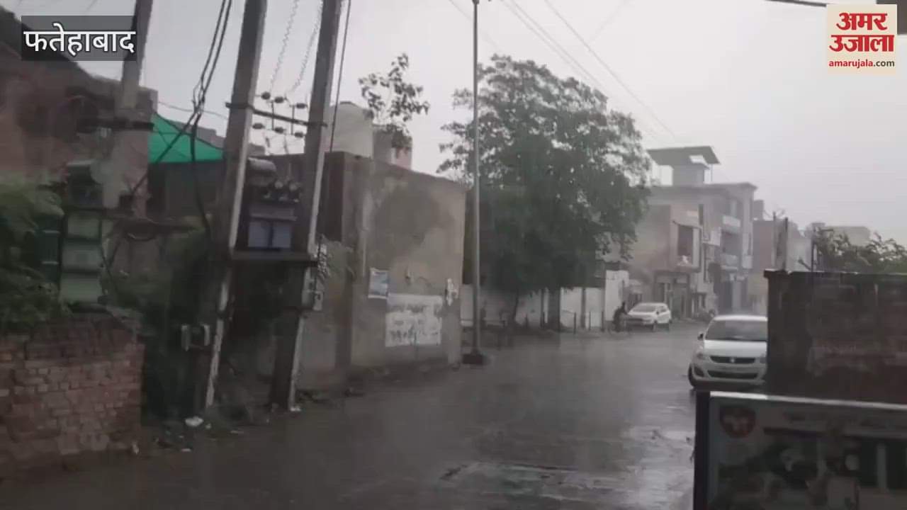 The weather has become pleasant due to drizzle in Tohana of Fatehabad since morning