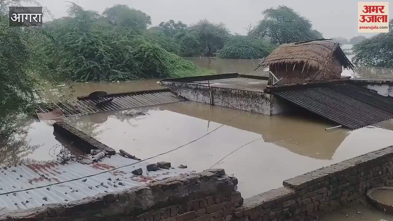 Chambal river crossed danger mark water filled in many villages houses submerged people scared of flood
