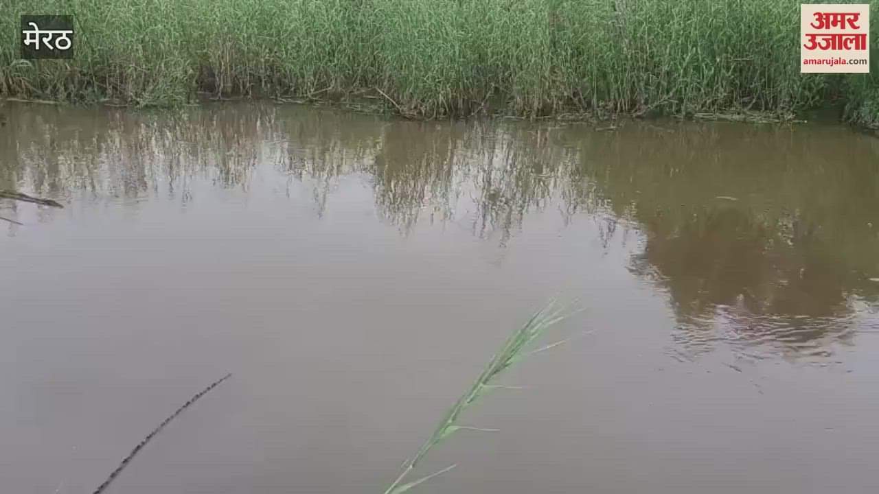 Ganga Water Rises in Hastinapur: Floodwater Enters Fields, Crops Submerged, Farmers Worried