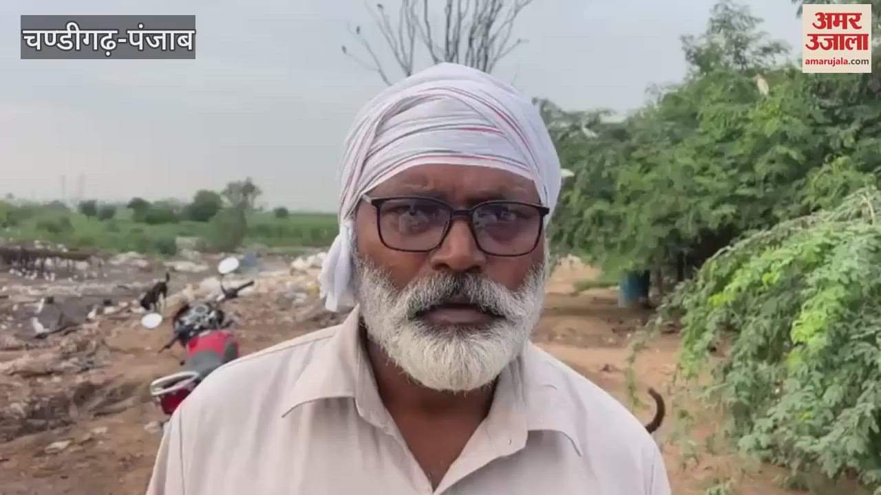 15 to 16 cows died in Khanna's Govardhan Gaushala