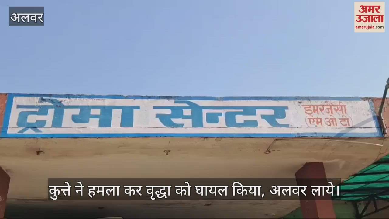 A dog attacked and injured an old woman in Javli Gamb,