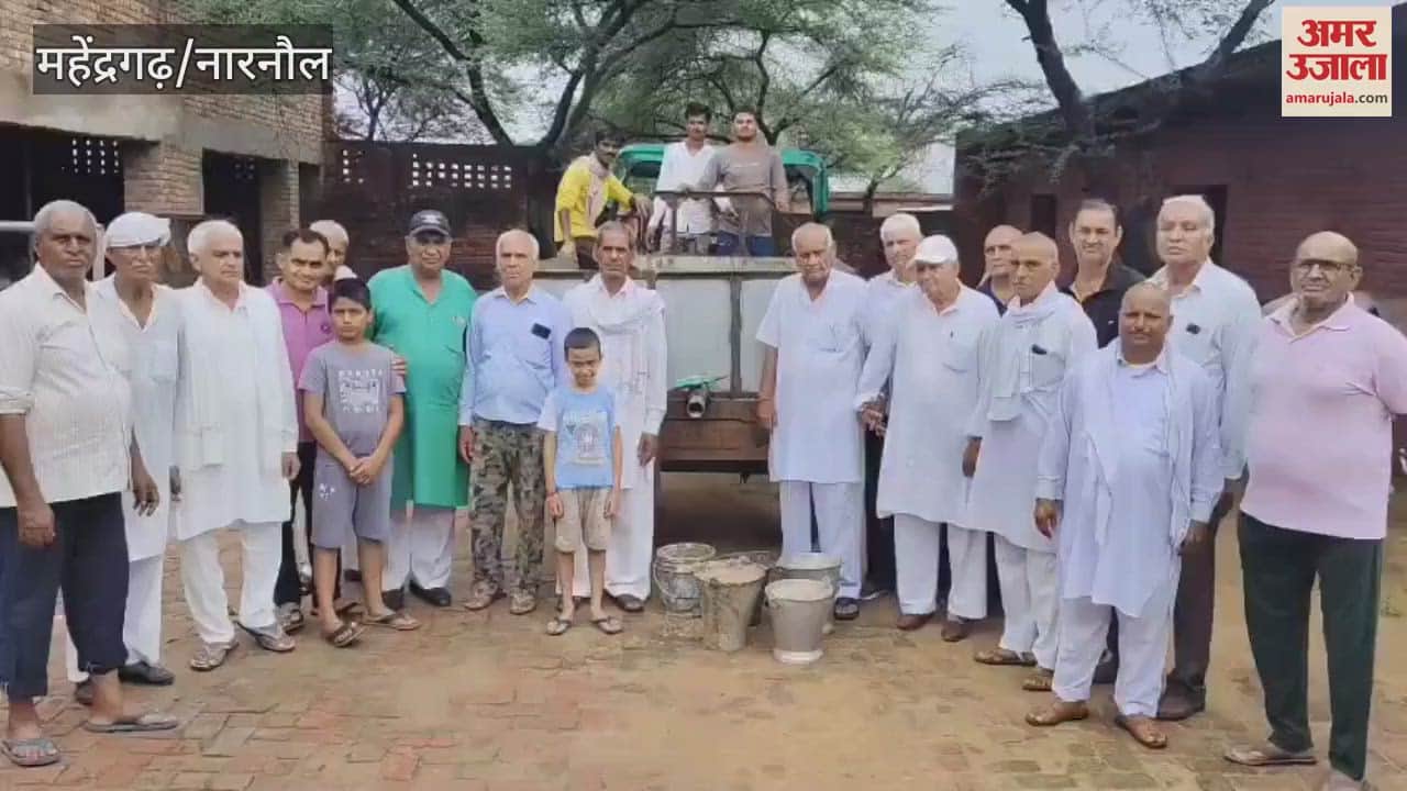 In Narnaul, Shri Krishna Bal Gopal Gaushala organized a 'Sawamani' for the Bihali cattle