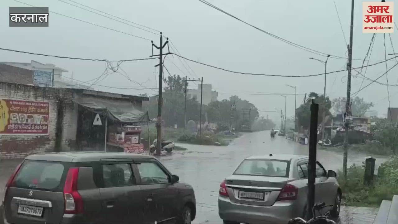 Waterlogging due to heavy rain in Karnal in the afternoon, benefit to paddy crop