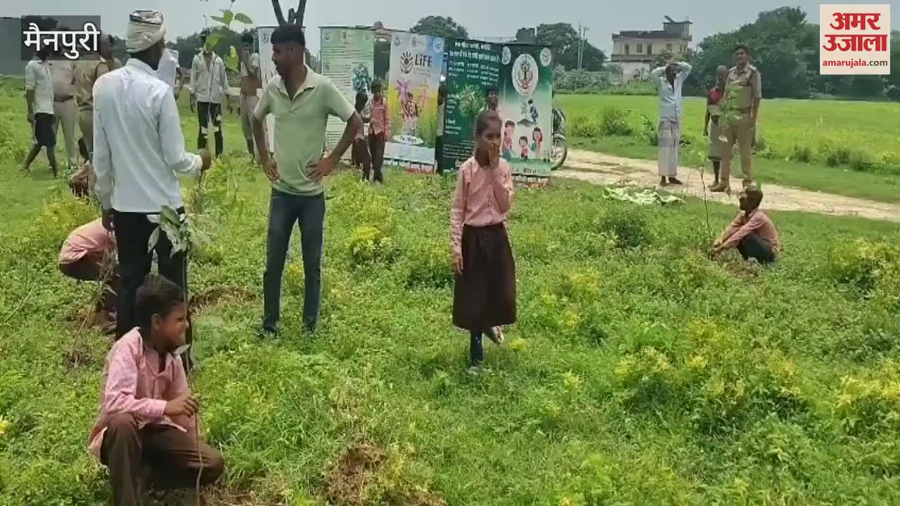 Tree plantation done in Dihuli Primary School