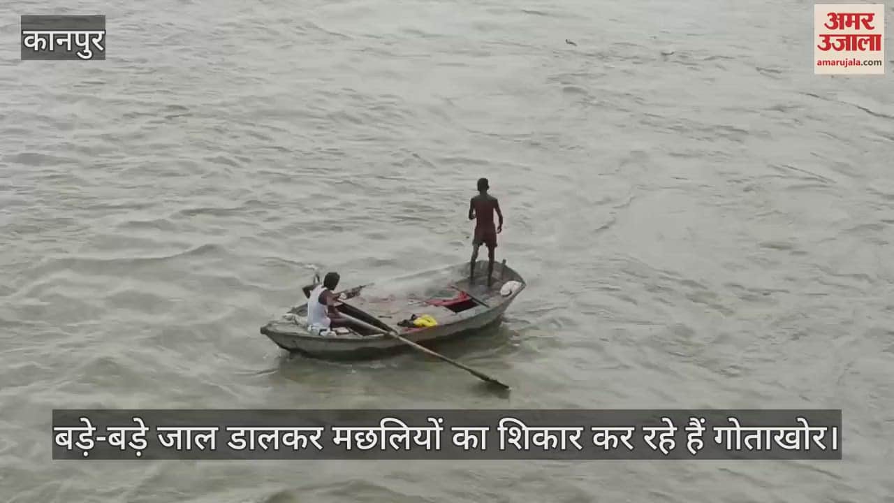 कानपुर के गंगा बैराज पर खुलेआम मछली का शिकार, पुलिस की नाक के नीचे चल रहा अवैध धंधा