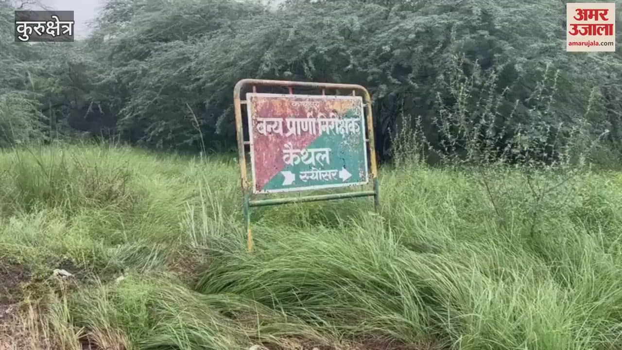 The team of Saraswati Heritage Development Board reached Sanyonsar forest in Kurukshetra, a reserve wire will be built