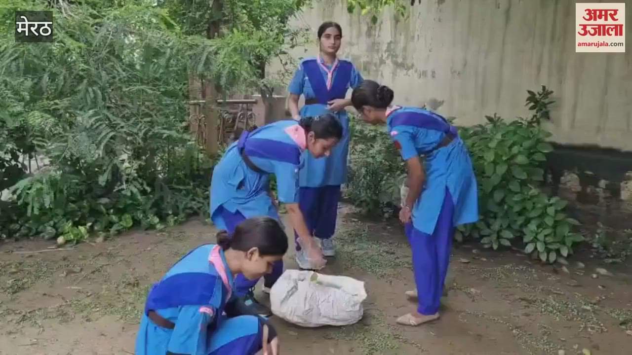 Meerut: World Rangers Day celebrated in RGPG College, girl students did service work