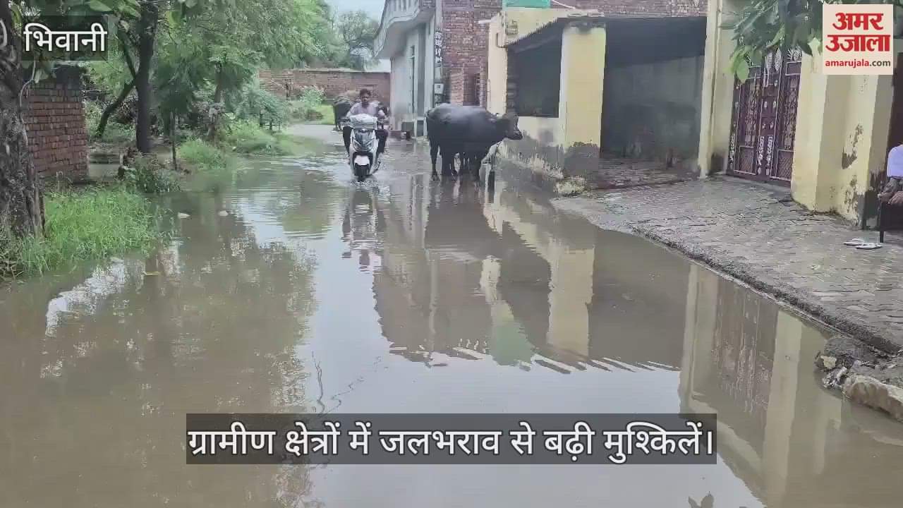Rain in Bhiwani