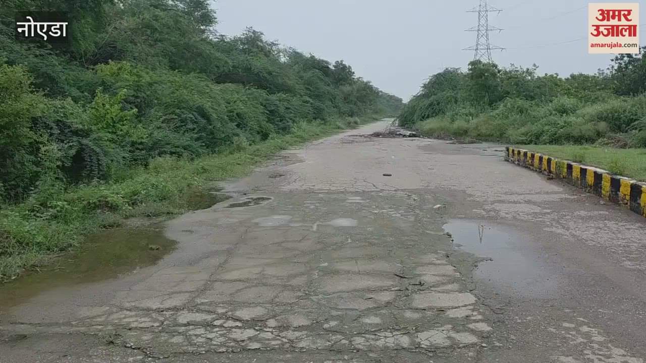 service road of Yamuna Expressway is covered with bushes