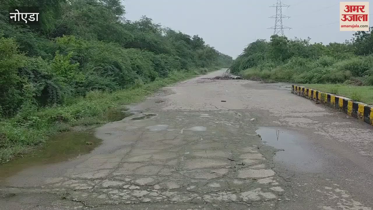 service road of Yamuna Expressway is covered with bushes