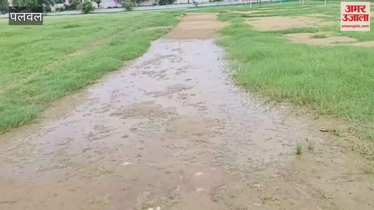 Rain in Palwal spoiled condition of Netaji Subhash Chandra Bose Stadium