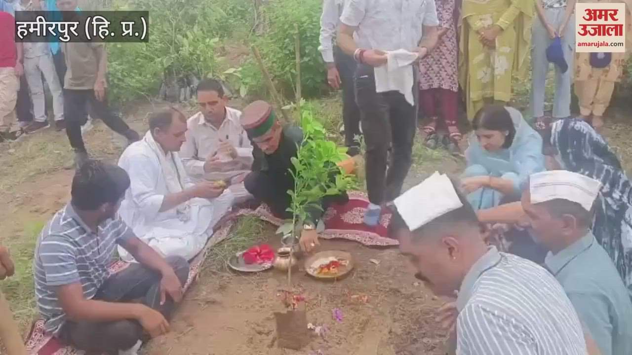 Hamirpur 271 medicinal plants planted in Chakmoh three-day spiritual forestry festival concluded in the college