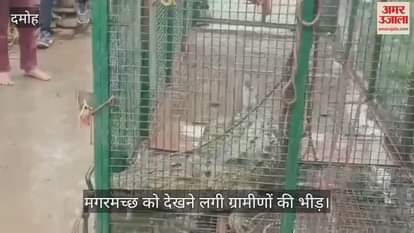 Fourth crocodile caught from Byarma river