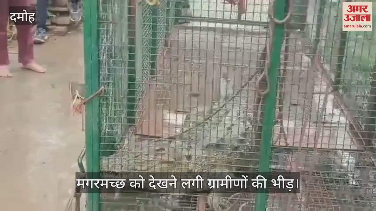 Fourth crocodile caught from Byarma river