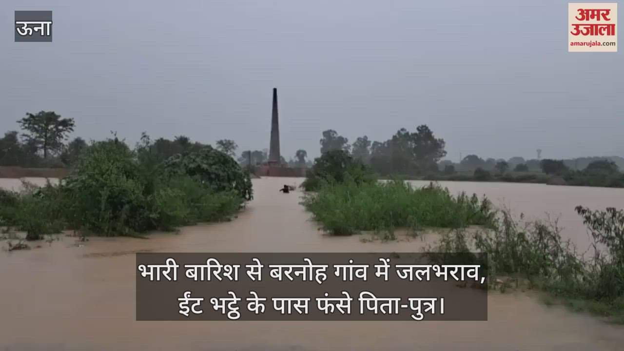 Waterlogging in Barnoh village due to heavy rain, father and son stranded near brick kiln