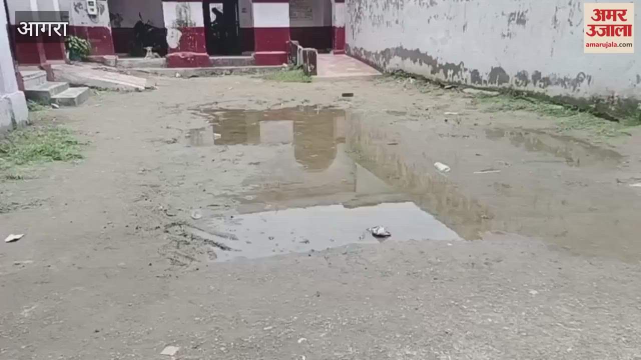 leaking roof under the falling plaster your children