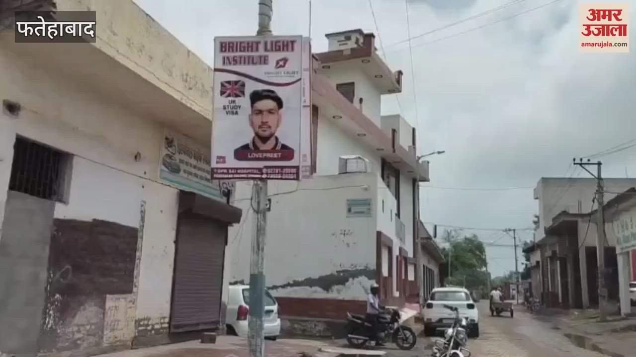 Flexes on electricity poles are spoiling the beauty of Tohana in Fatehabad, officials are silent