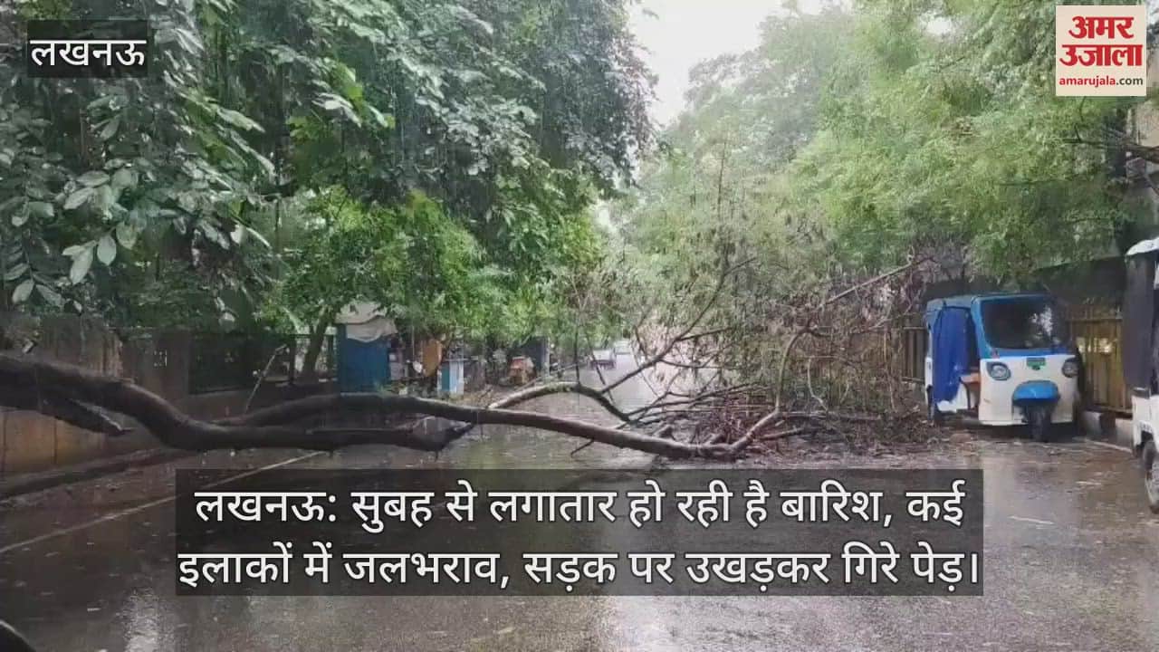 लखनऊ: सुबह से लगातार हो रही है बारिश, कई इलाकों में जलभराव, सड़क पर उखड़कर गिरे पेड़