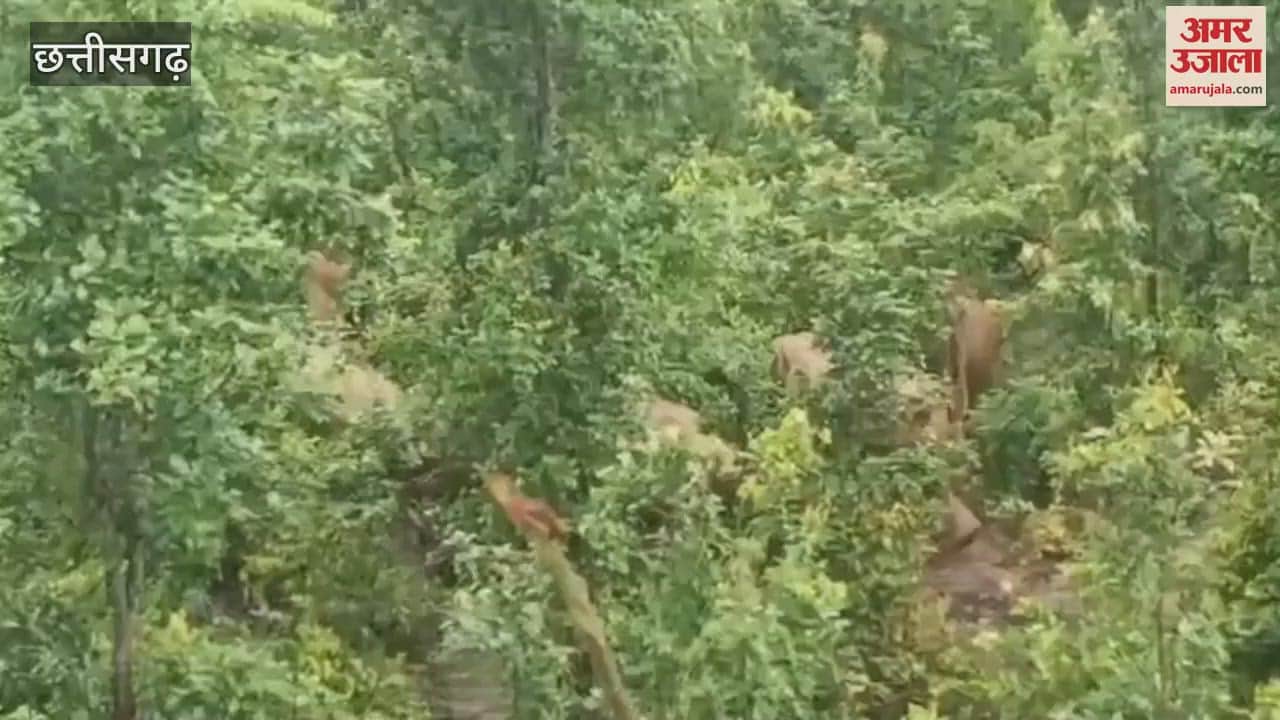 villager died on spot after being attacked by elephant in Jashpur