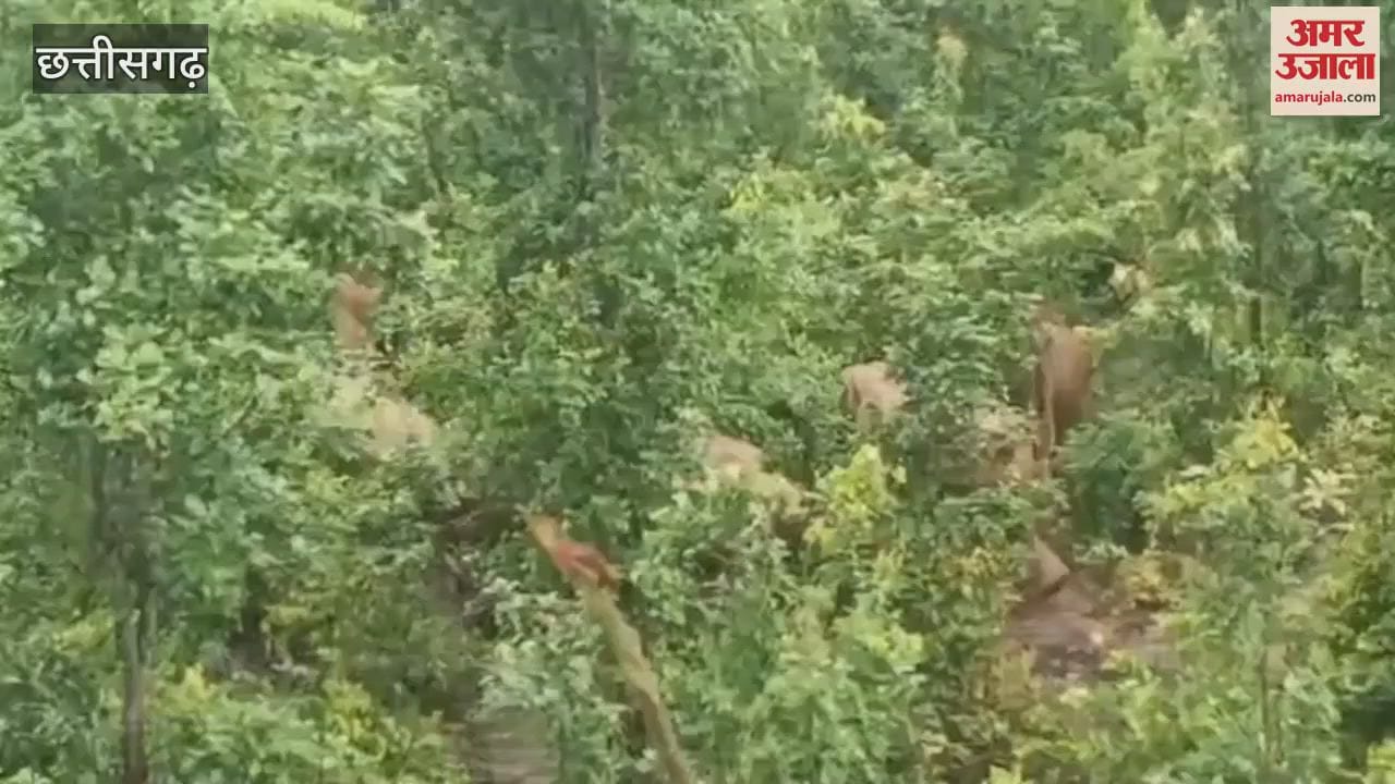 villager died on spot after being attacked by elephant in Jashpur