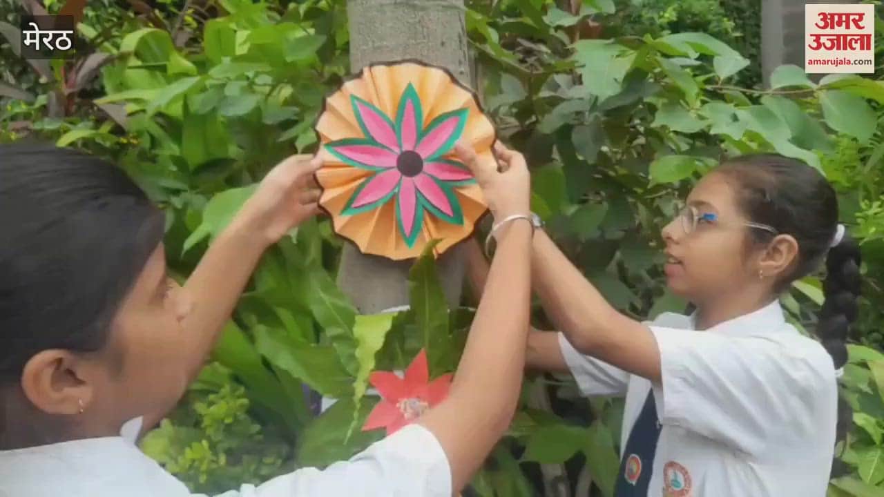 Meerut: Pledged to save trees by tying Rakhi to them
