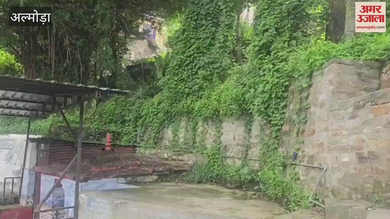 Youth engaged in campaign for conservation and promotion of Naulas in almora