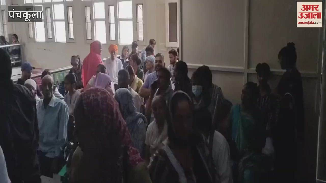 doctors strike in panchkula