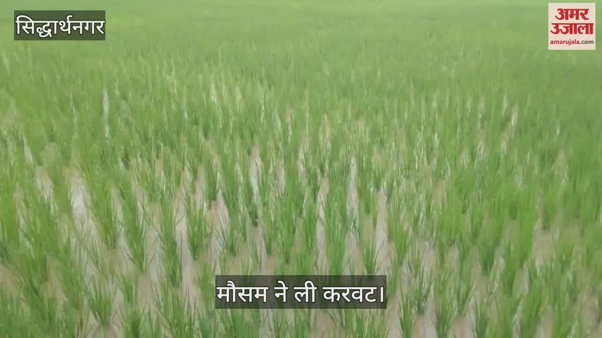 Barsa Pani Barsuthila Rimjhim Pani Barsu Thila Re Rain Proved To