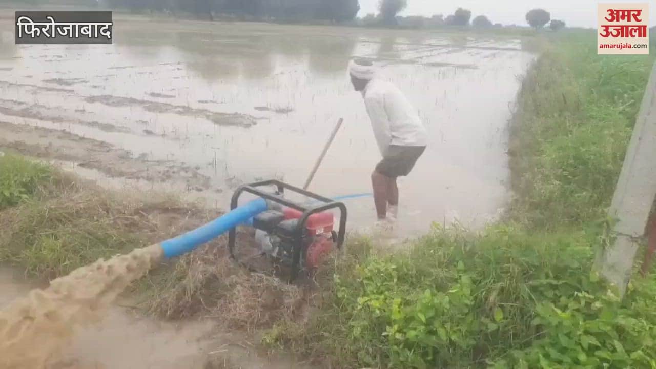 Chilli crop submerged, farmers' concern increased