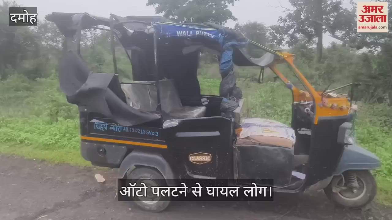 Auto filled with villagers went out of control and overturned, more than 12 injured