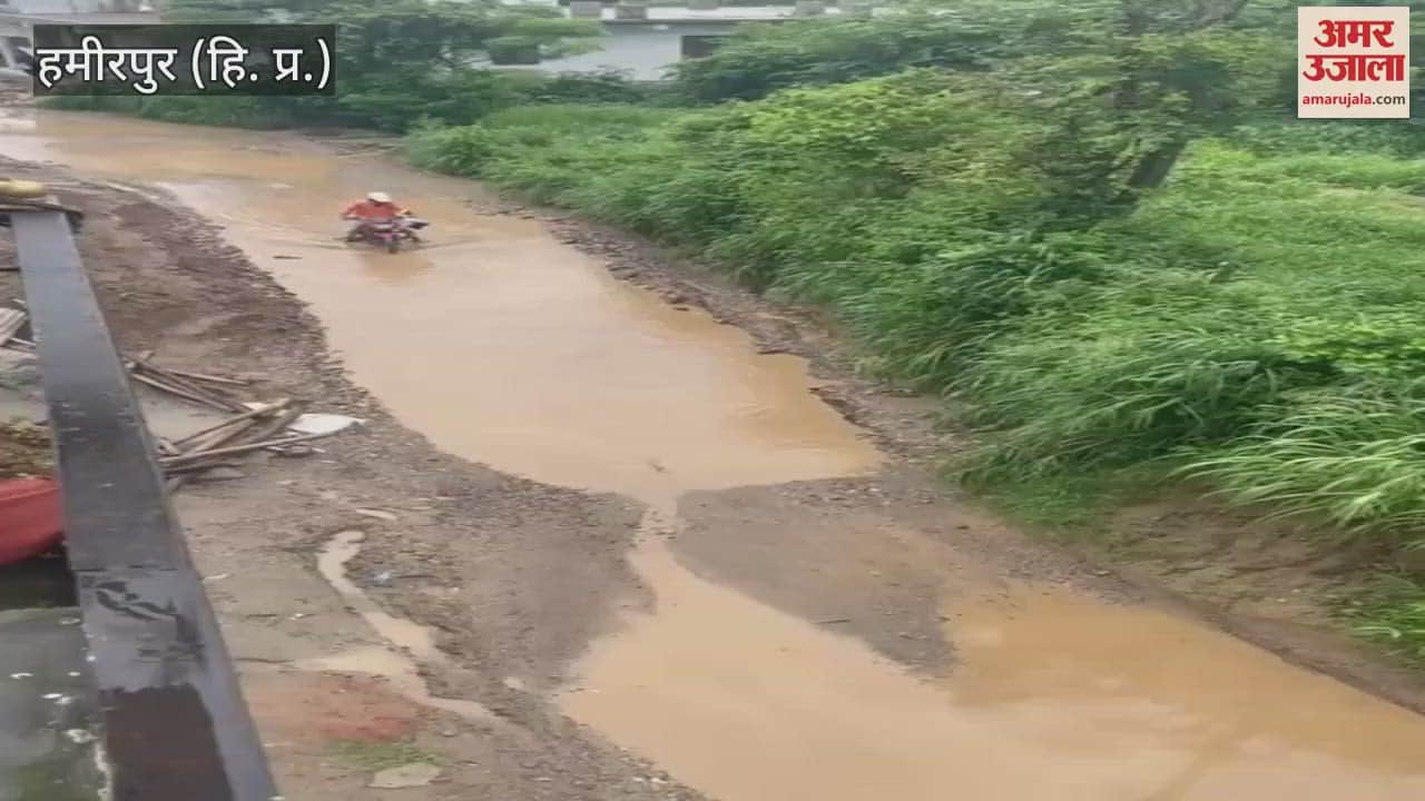 Hamirpur Electric pole tied with rope wires of departments entangled in estimate