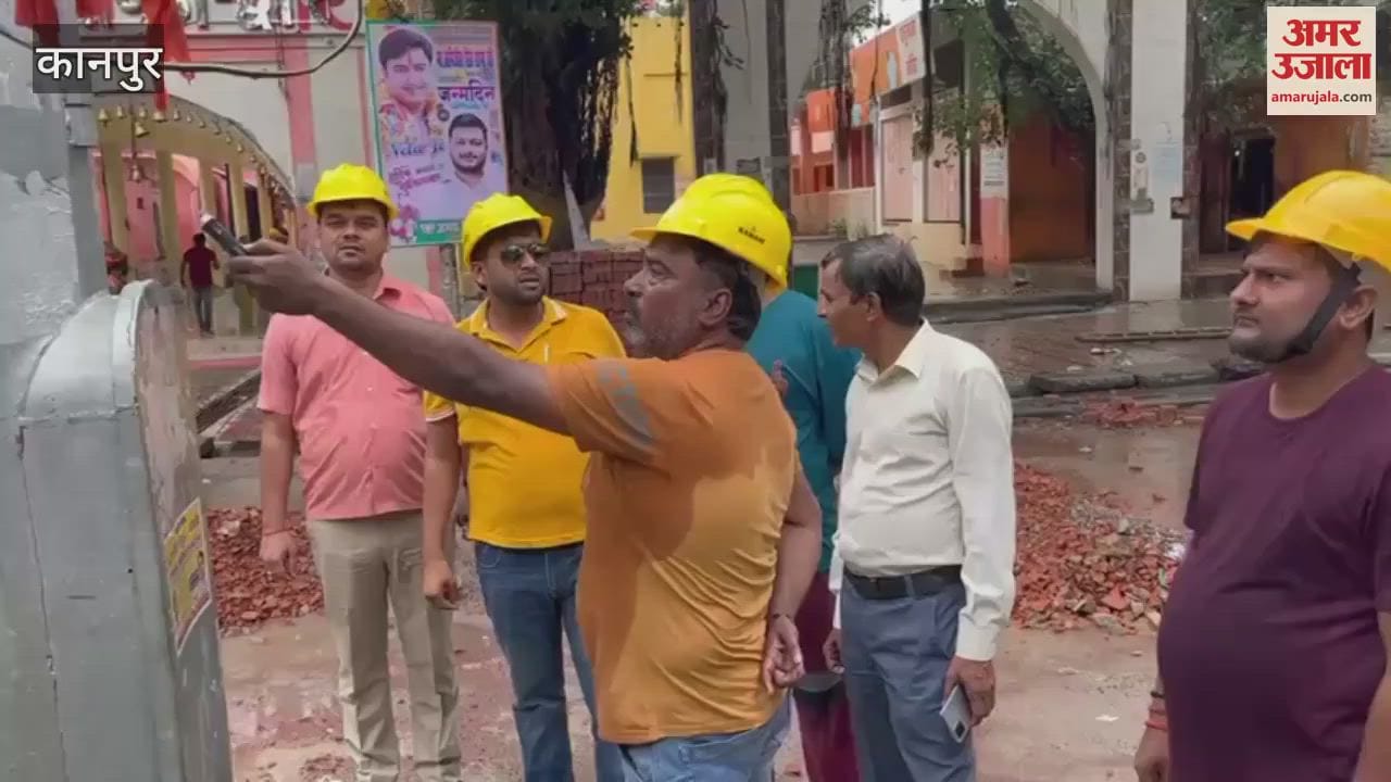 checking campaign was conducted regarding possibility of electric current flowing in the electric pole