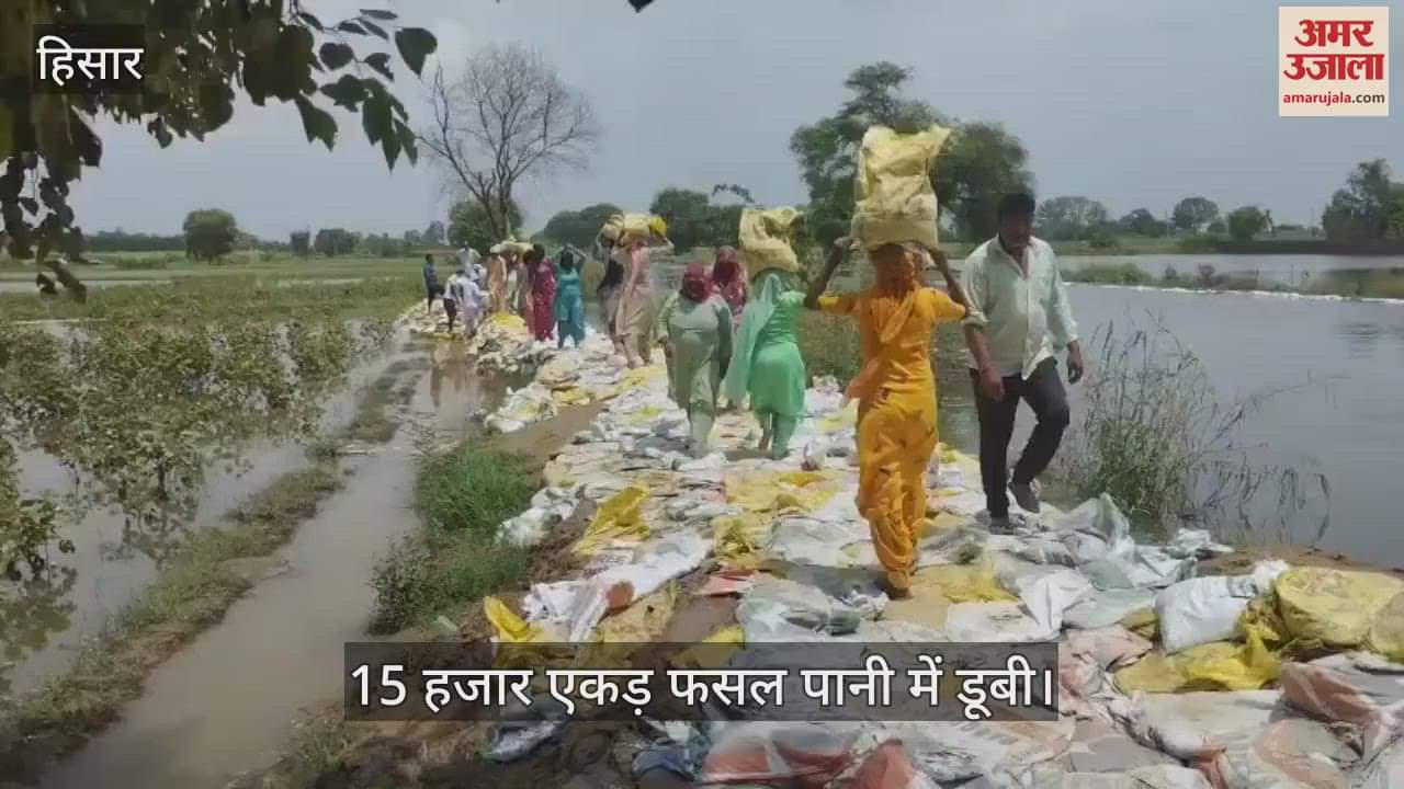 About 15 thousand acres of crops were submerged in water in Hisar