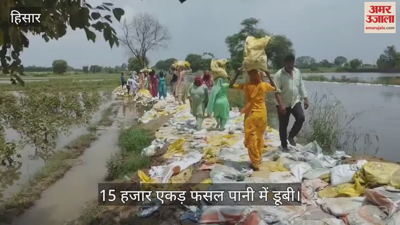 About 15 thousand acres of crops were submerged in water in Hisar