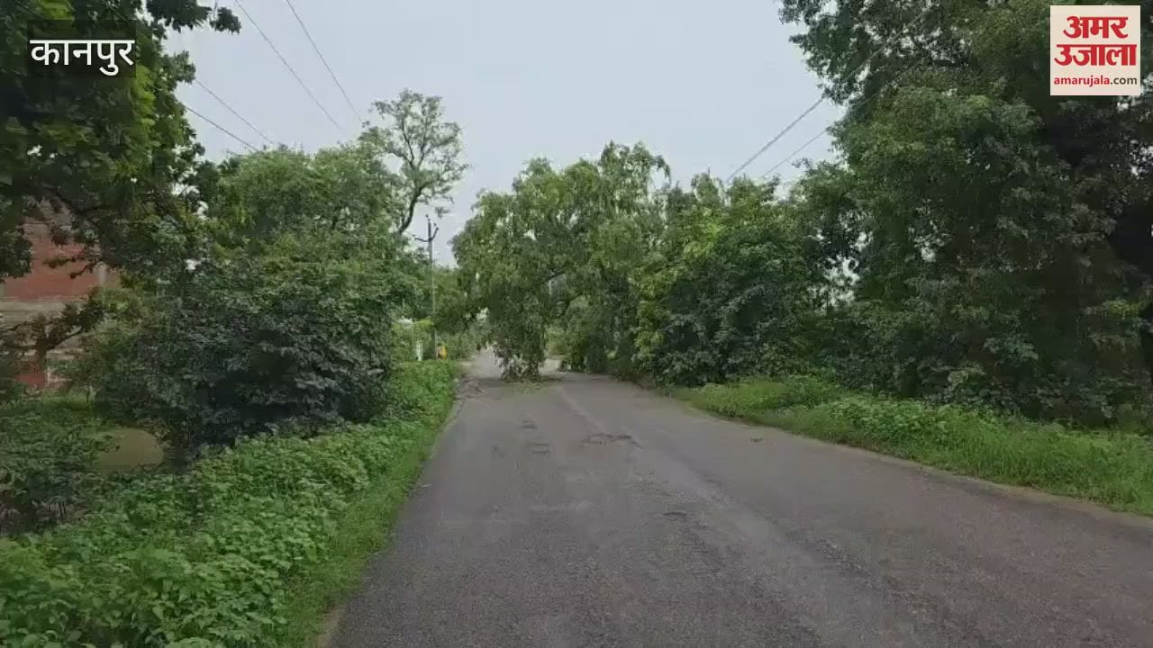 sheesham tree on Saadh-Touns road in Bhitargaon bent down and swung on the electric wires, traffic disrupted
