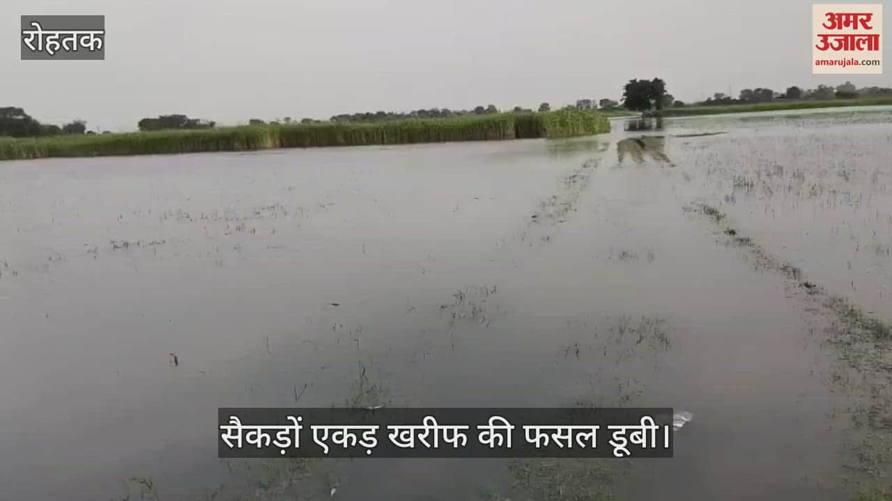 Hundreds of acres of Kharif crop submerged