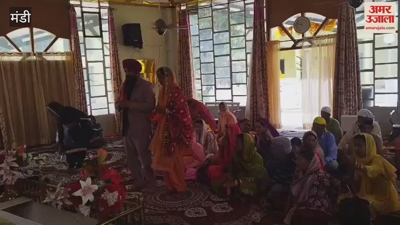 Mandi Jabna Chauhan the youngest and most famous Panchayat Pradhan of the country got married to Mandeep Singh alias Honey