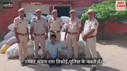 Nagaur News poppy consignment worth Rs 2.20 crore recovered from field 1 smuggler arrested Operation Neelkanth