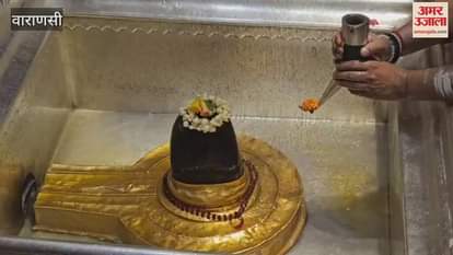 month of Sawan Baba Rudraksha decoration fascinated the devotees