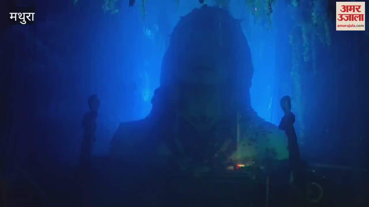 Kundeshwar Mahadev gave wonderful darshan in Mathura