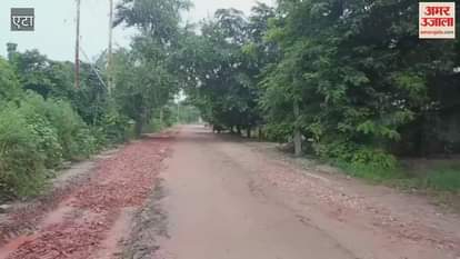 Work against standards in road widening