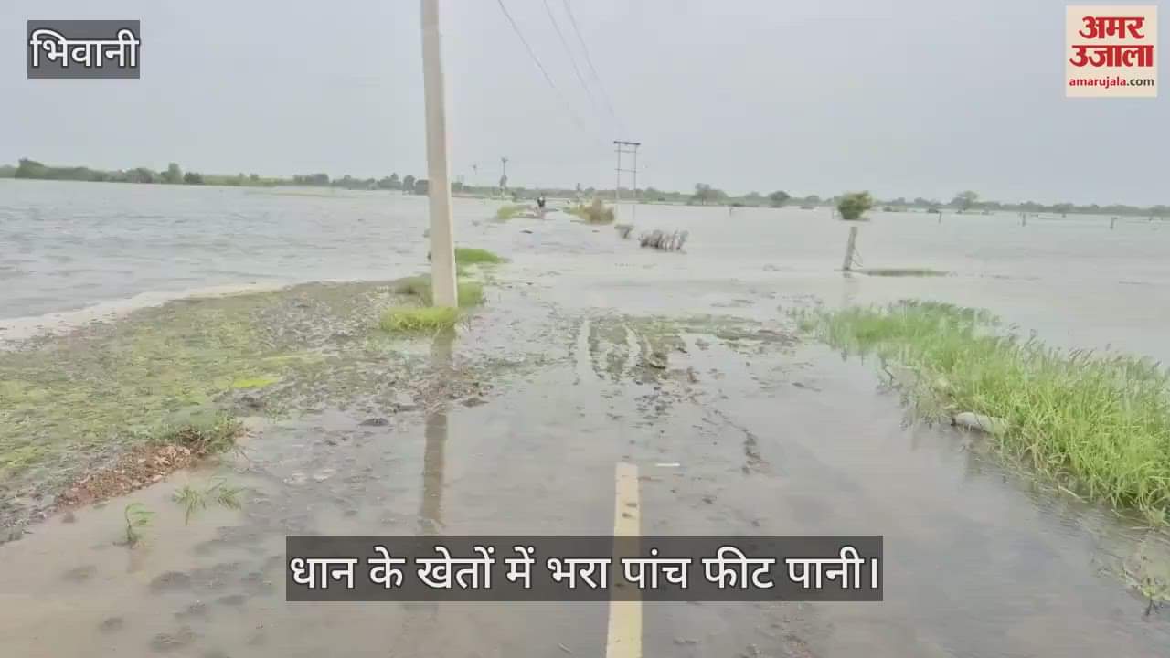 Water logging at fields in Bhiwani