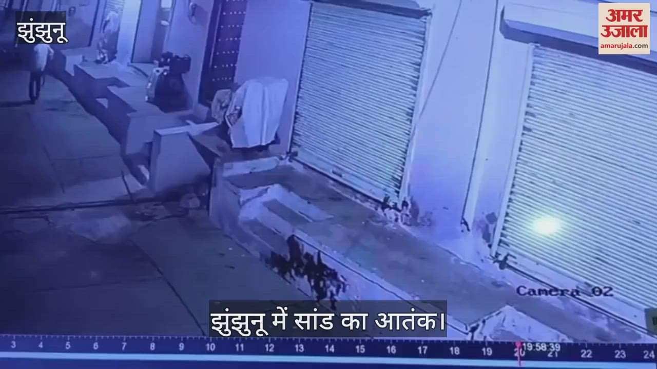 A mad bull attacked the former councillor seven times in one and a half minutes, several fractures in the ribs