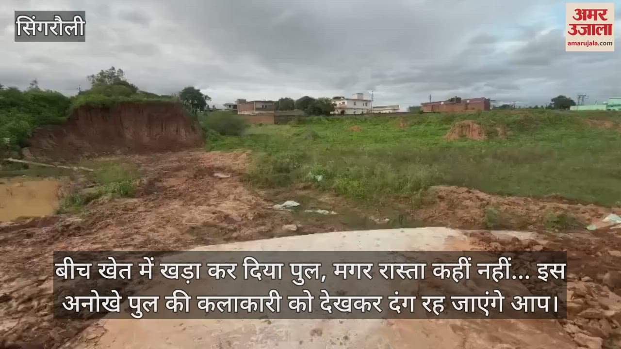 MP News:A bridge was erected in the middle of the field, but there is no road anywhere